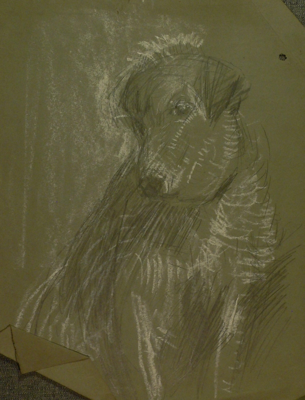 Drawing of a dog