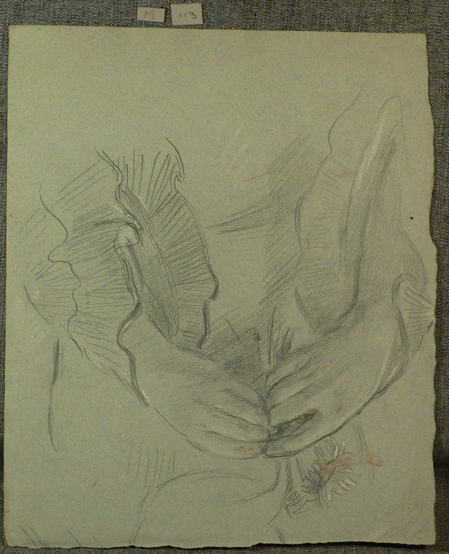 M . 113 study of hands with a flower