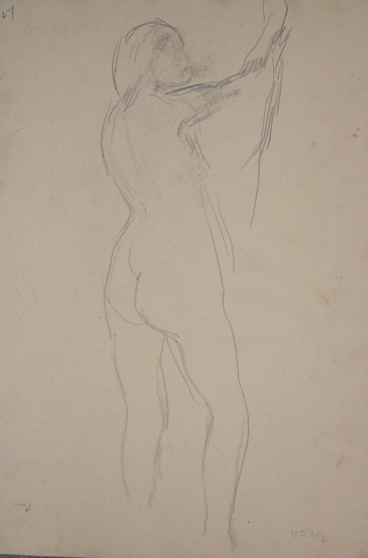 Pencil sketch of a nude standing .           .1127 v