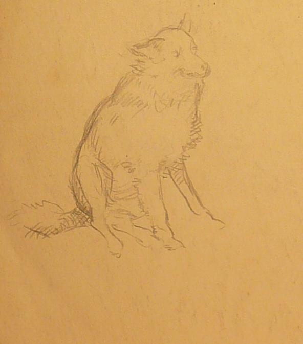 Recto, study of hanging drapery.    Verso: seated dog (one of several drawings of same dog)