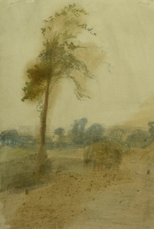 Tree in a landscape