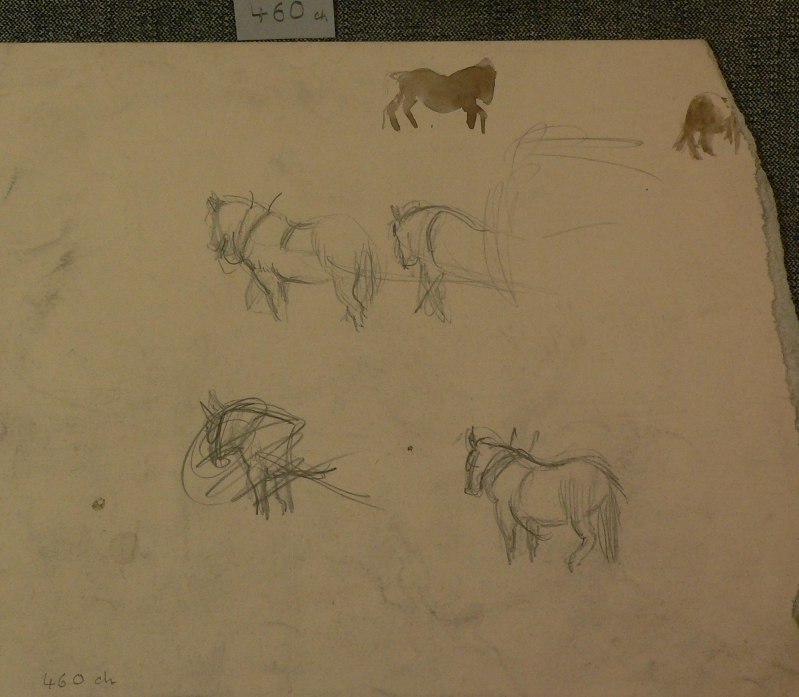 460ch horse studies