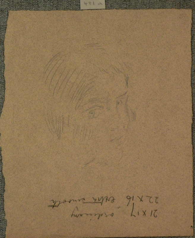 481ch pencil sketch of a young lady